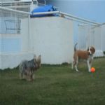 Creche (day Care)