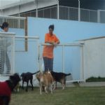 Creche (day Care)
