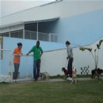 Creche (day Care)