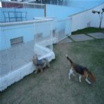 Creche (day Care)