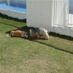 Creche (day Care)