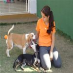 Creche (day Care)