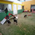 Creche (day Care)