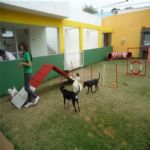Creche (day Care)