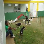 Creche (day Care)