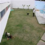 Creche (day Care)