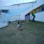 Creche (day Care)