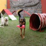 Creche (day Care)