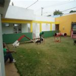 Creche (day Care)