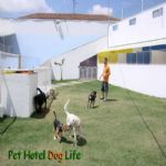 Creche (day Care)