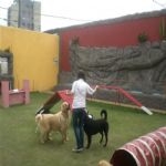 Creche (day Care)