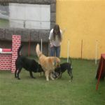 Creche (day Care)