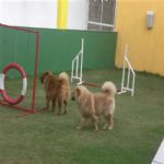 Creche (day Care)