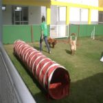 Creche (day Care)