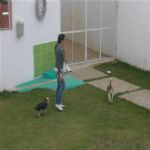 Creche (day Care)