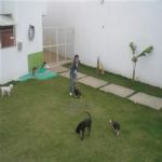 Creche (day Care)