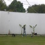 Creche (day Care)