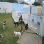 Creche (day Care)