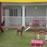 Creche (day Care)