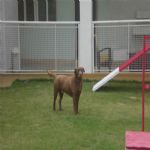Creche (day Care)