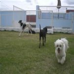 Creche (day Care)