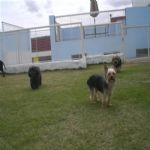 Creche (day Care)