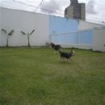 Creche (day Care)