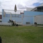 Creche (day Care)