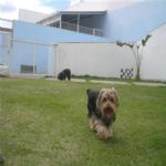 Creche (day Care)