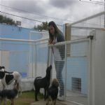 Creche (day Care)