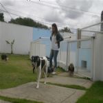 Creche (day Care)