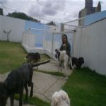 Creche (day Care)
