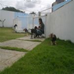 Creche (day Care)