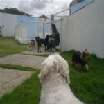 Creche (day Care)