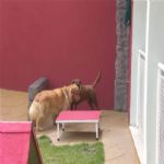 Creche (day Care)