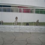 Creche (day Care)
