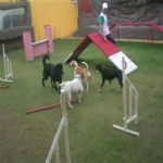Creche (day Care)