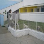 Creche (day Care)