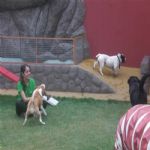 Creche (day Care)