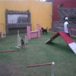 Creche (day Care)