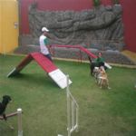 Creche (day Care)