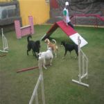 Creche (day Care)