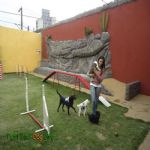 Creche (day Care)