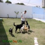 Creche (day Care)