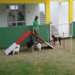 Creche (day Care)