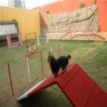 Creche (day Care)