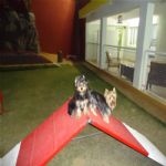 Creche (day Care)