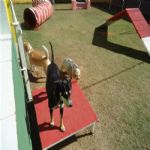 Creche (day Care)