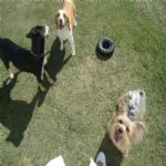 Creche (day Care)