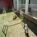 Creche (day Care)